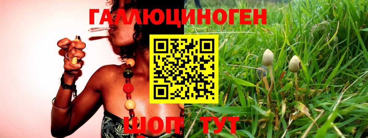 Галлюциногенные грибы прущие грибы  Псилоцибиновые грибы Cubensis  Вход с VPN  Красный Сулин 